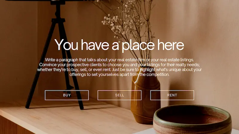 写真背景の上にテキストとボタンを配置した、訴求型の一般的なホームページ例
